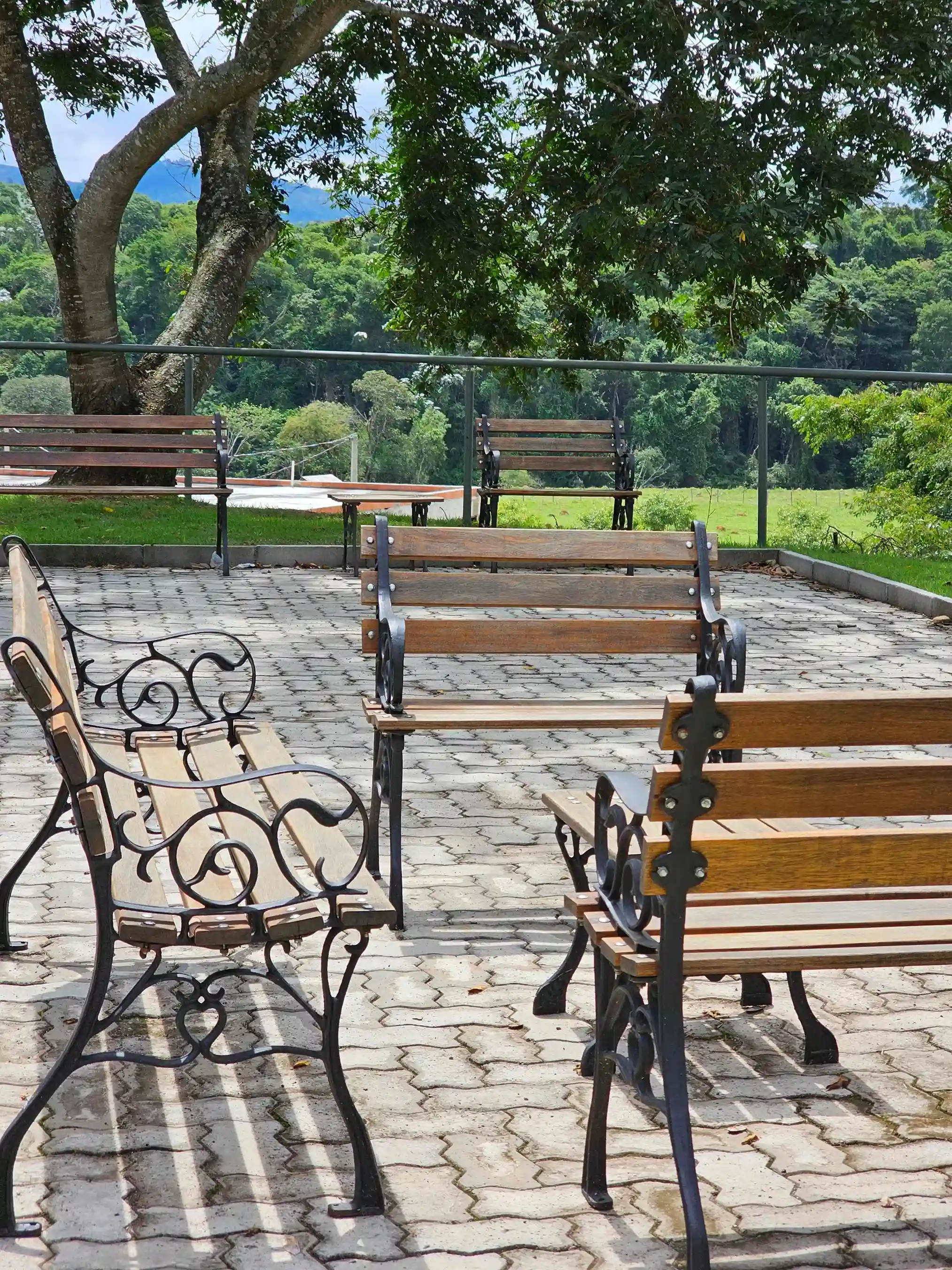 Bancos para Contemplação - Vista 2